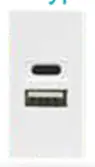 F21-C2B Dual Port Type A+C USB Charger (10.5W Total)