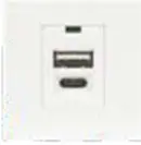 F21-C4 Dual Port Type A+C USB Charger (10.5W Total)