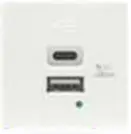 F21-C6 (4.2A) Dual Port Type A+C USB Charger (21W Total)